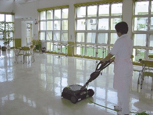 �Ɩ��̗�(����������Ɩ�)