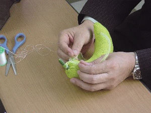 �Ɩ��̗�(�Î��Đ�����Ɩ�)